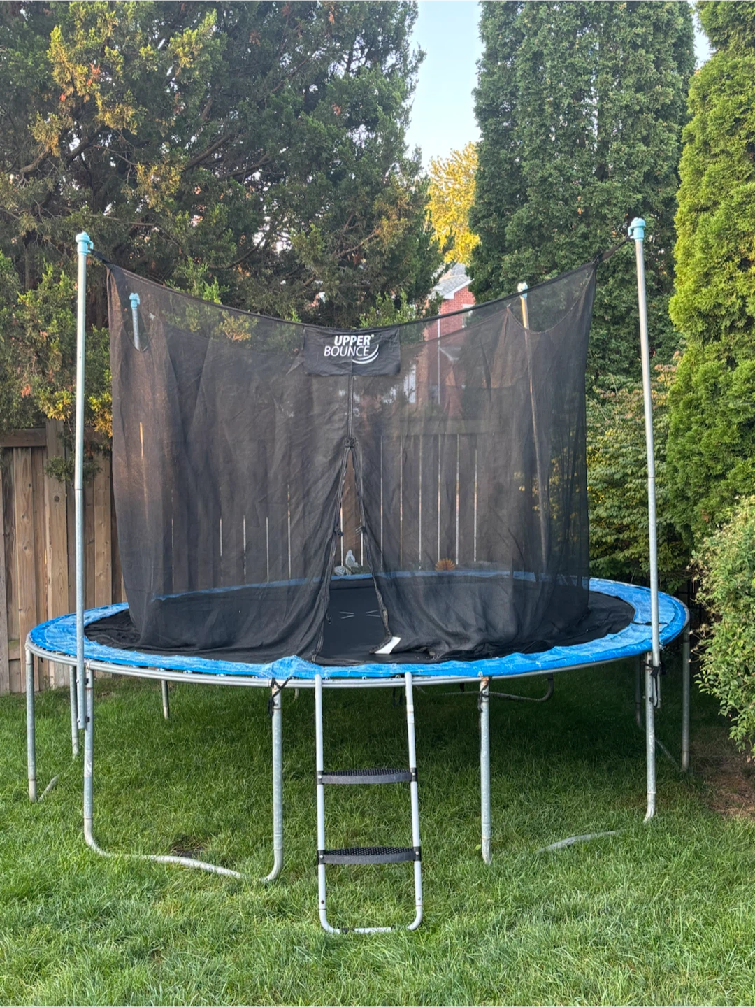 Trampoline with safety net and ladder