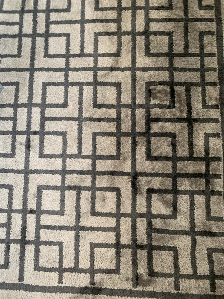 Geometric Pattern Area Rug - photo 3