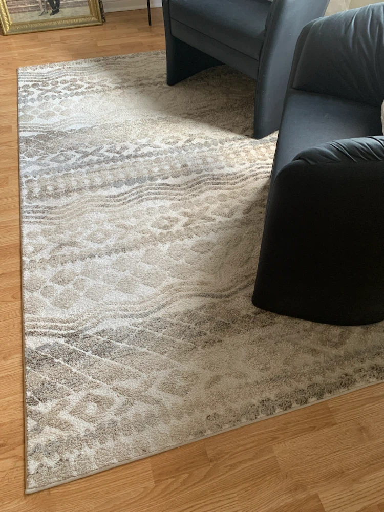 Area Rug - photo 3