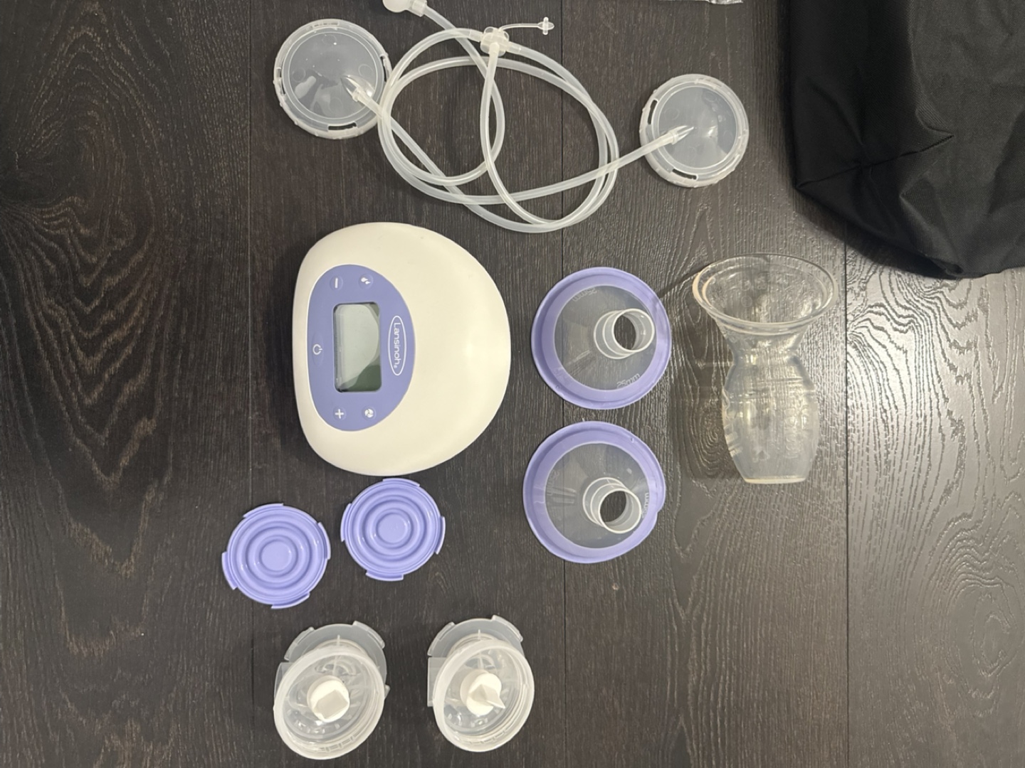 Lansinoh Double Electric Breast Pump - photo 2