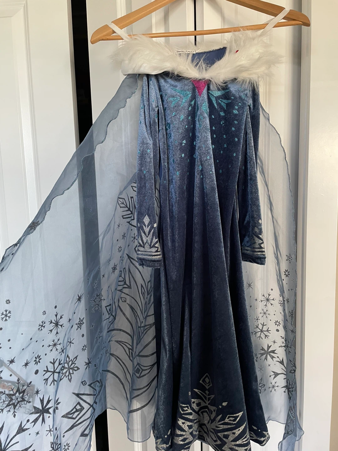 Disney Frozen 2 Elsa Costume Dress