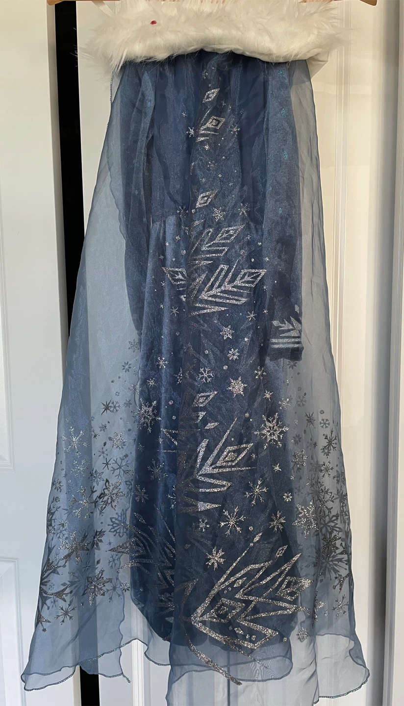 Disney Frozen 2 Elsa Costume Dress - photo 3