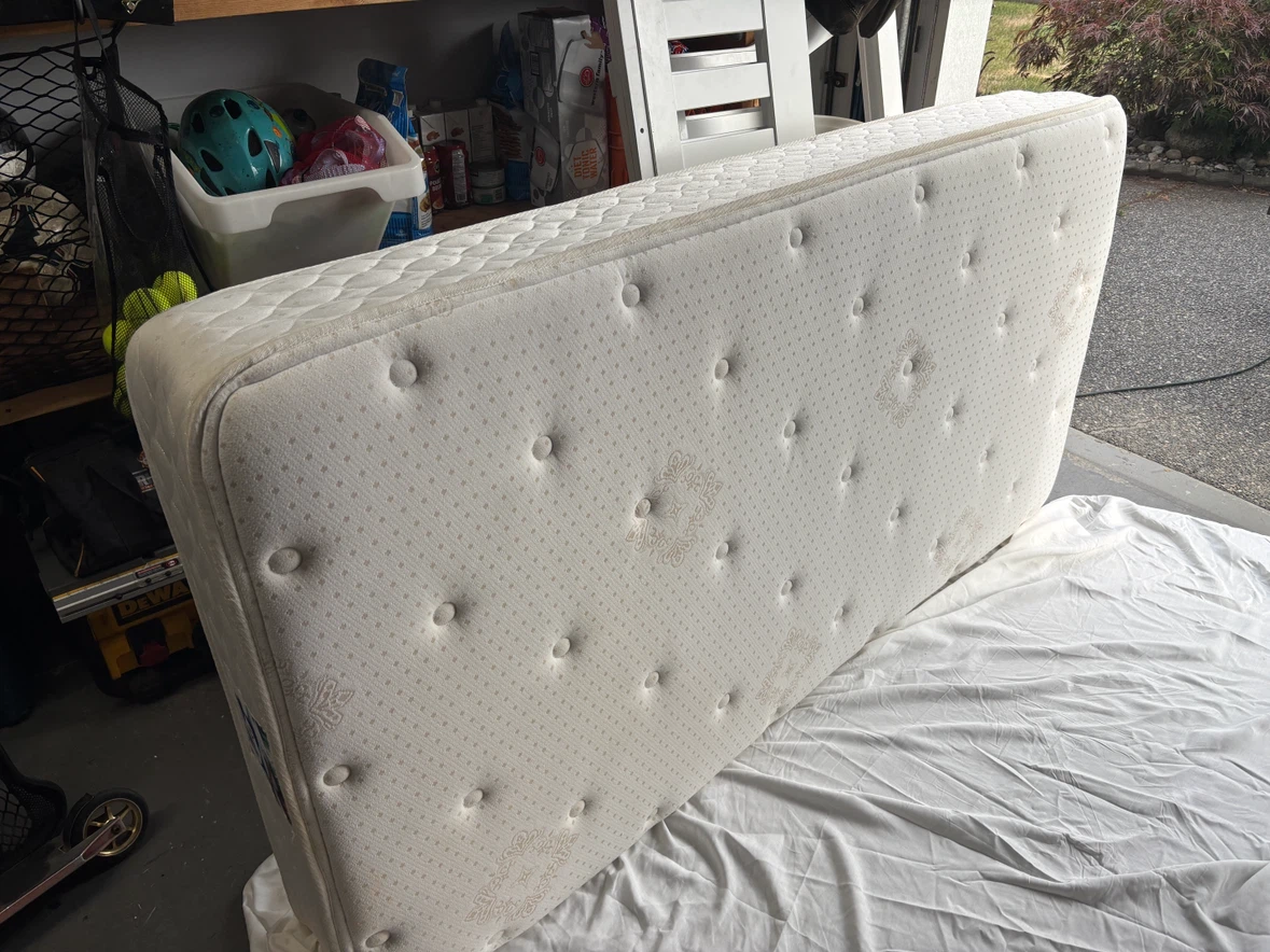 Sealy Twin Mattress