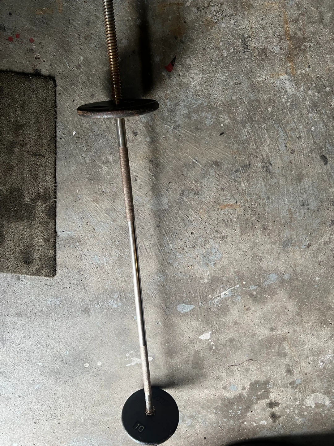 Weight Bar with 10lb Plates (2)