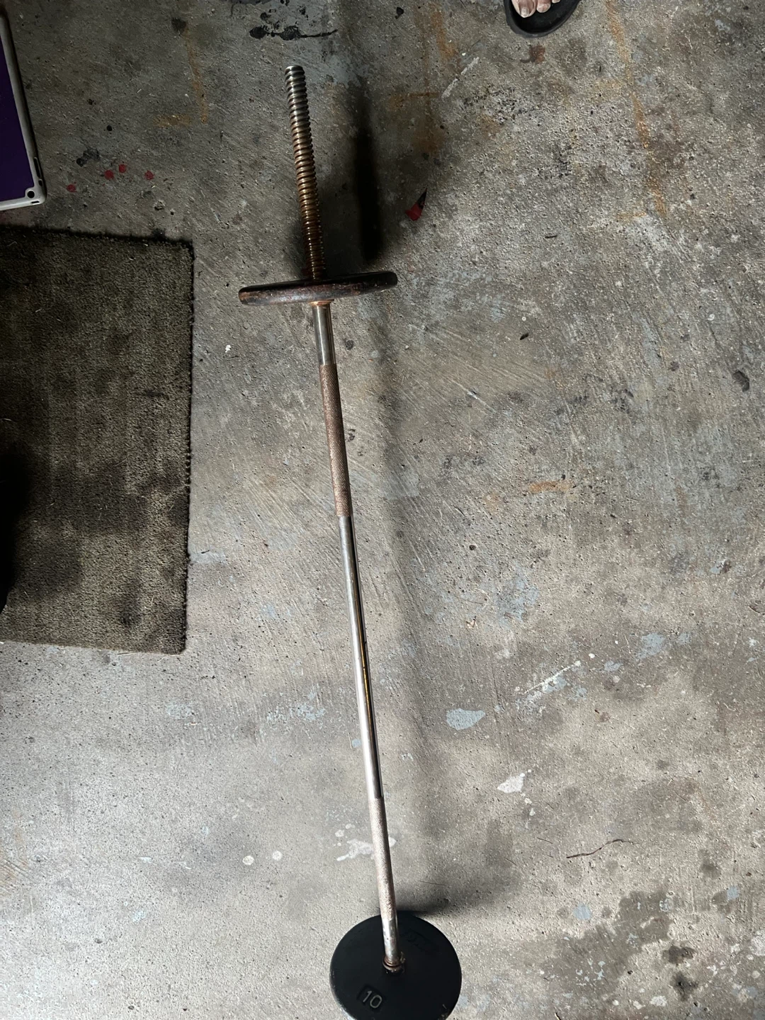 Weight Bar with 10lb Plates (2) - photo 2