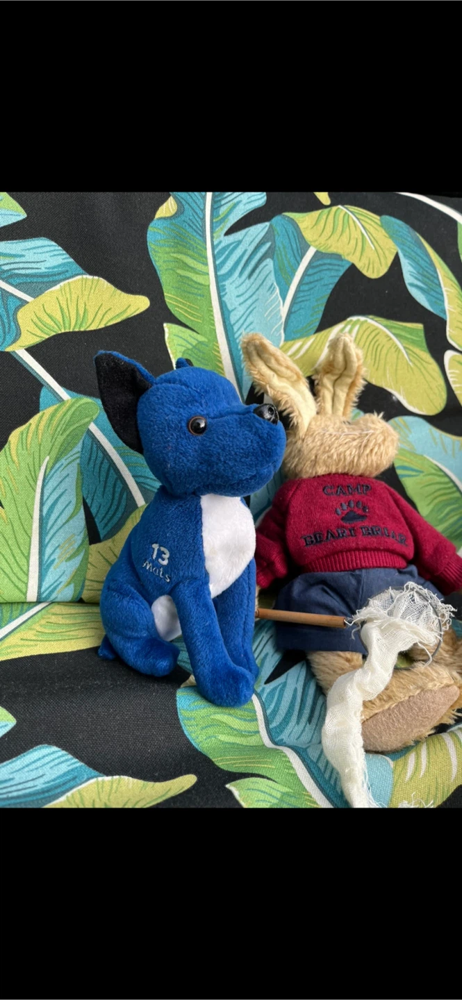 Plush Dog & Rabbit