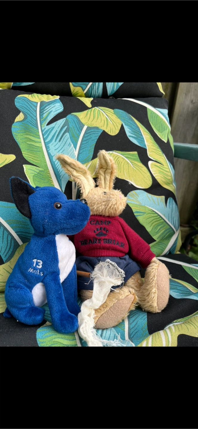 Plush Dog & Rabbit - photo 2