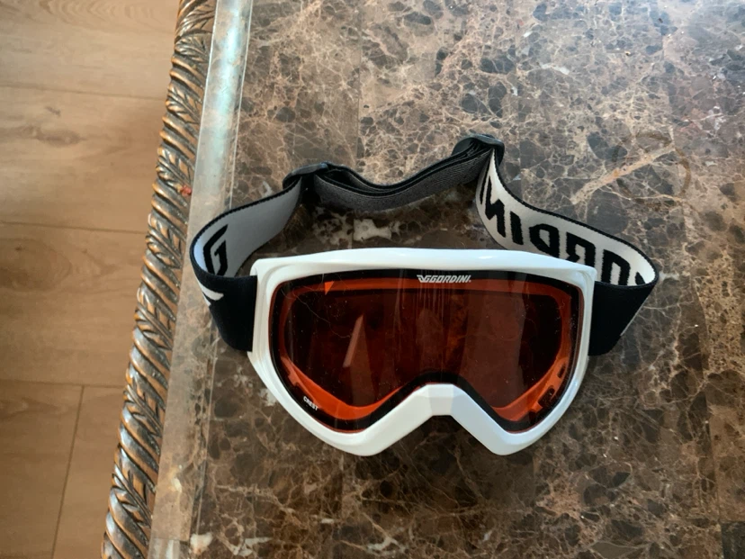 Ski goggles with daikine case