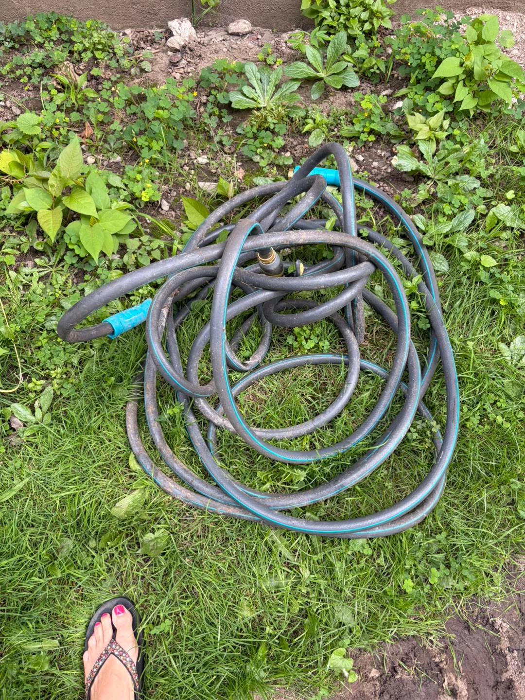 Yardworks Garden Hose with Spray Nozzle