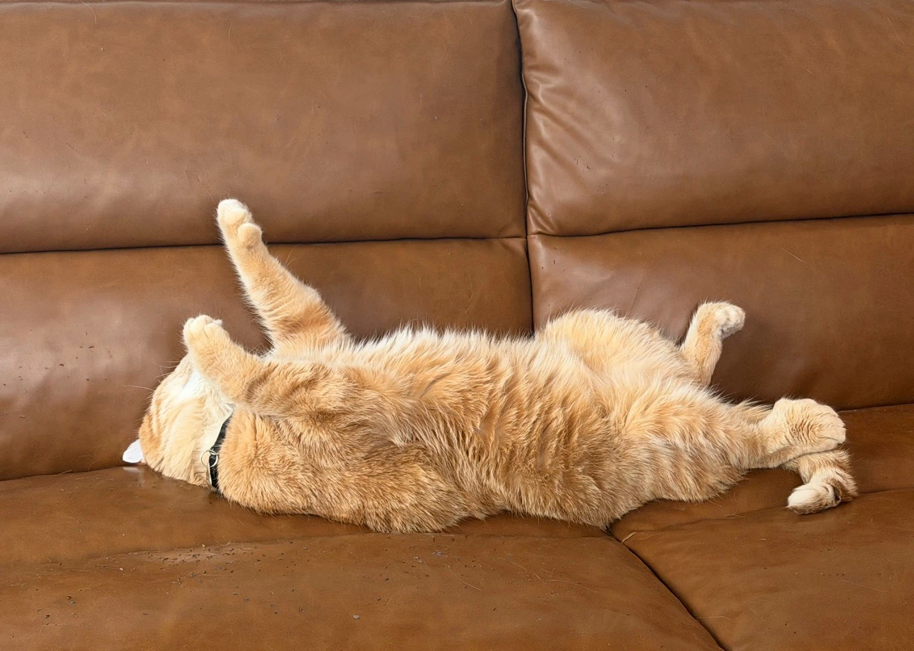Brown Leather Sofa - photo 3