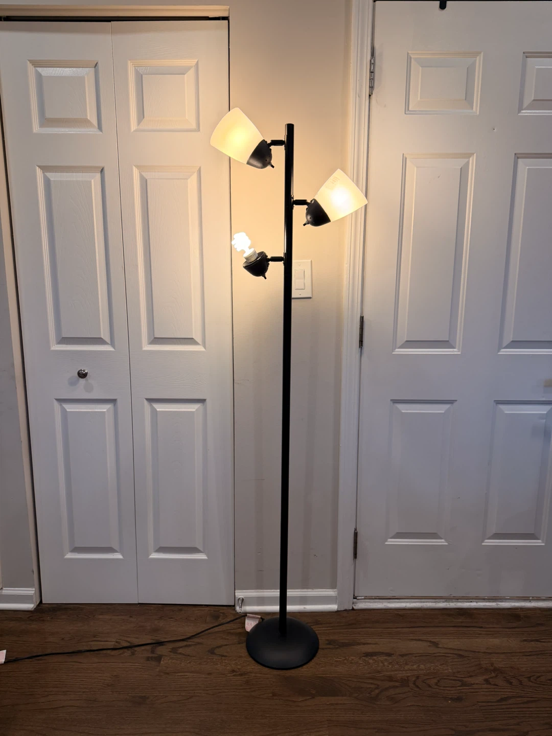 Black Floor Lamp with 3 Adjustable Lights