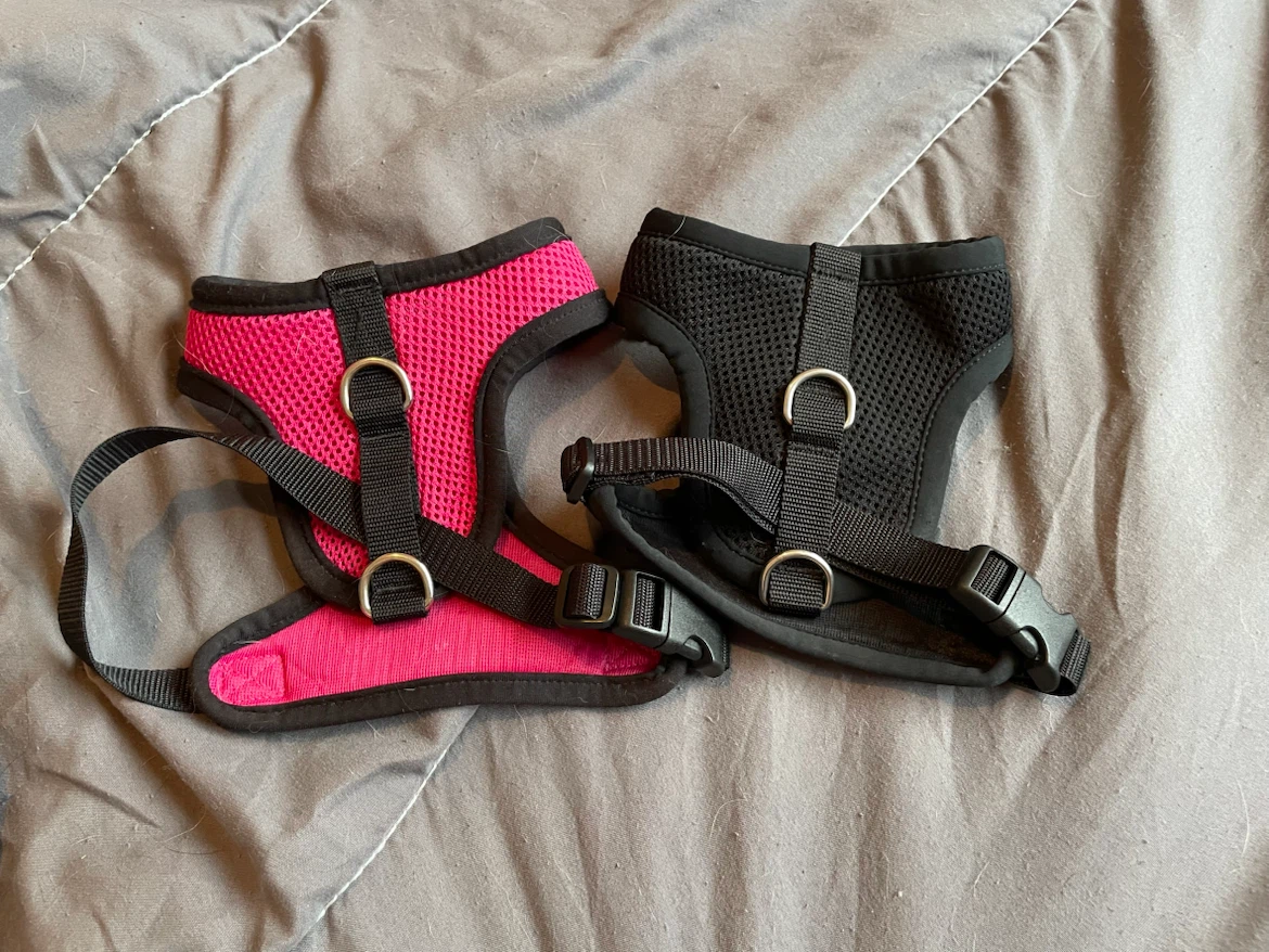 RC Pets Dog Harnesses XS/S - photo 2