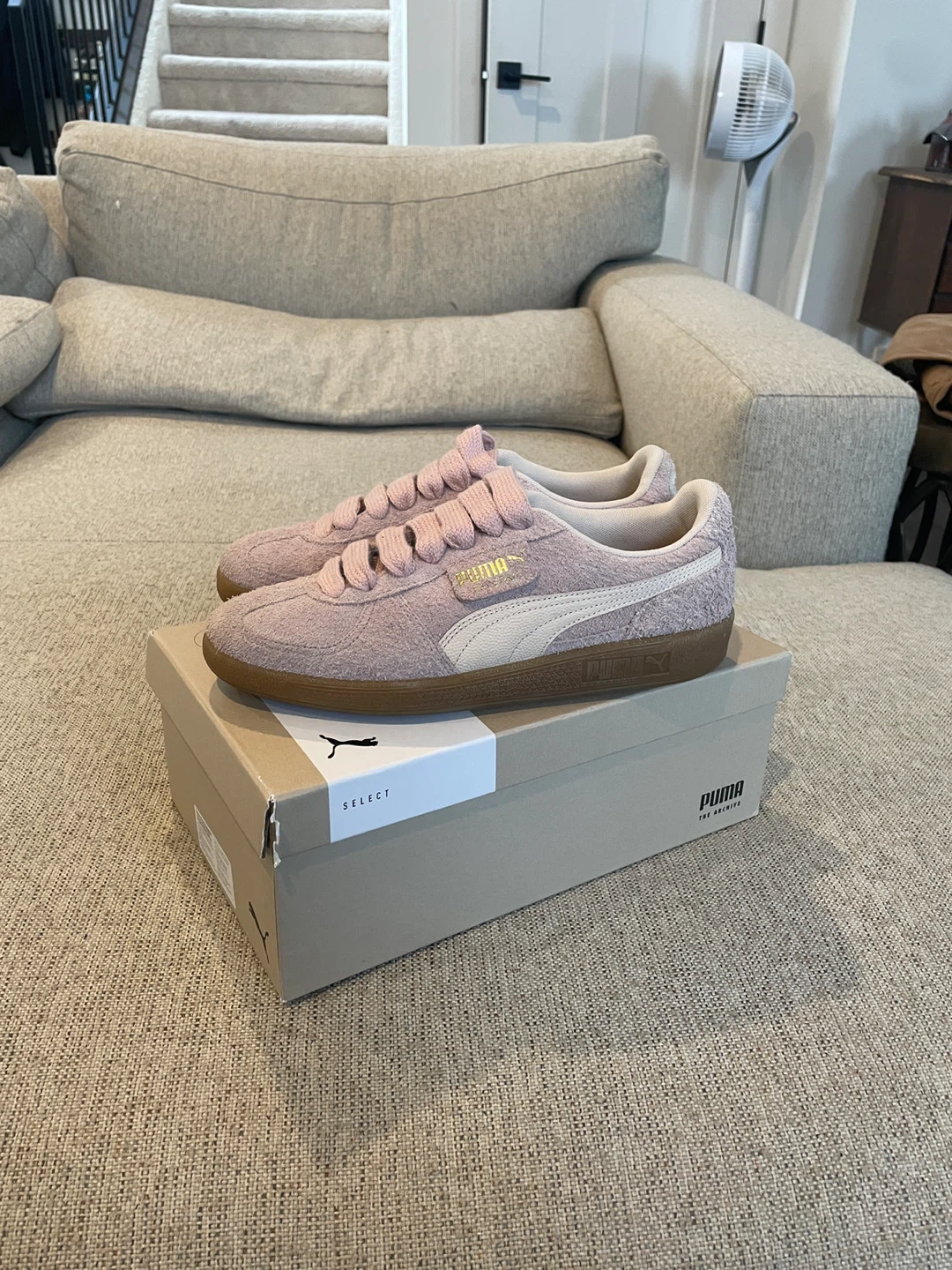 Puma Palermo