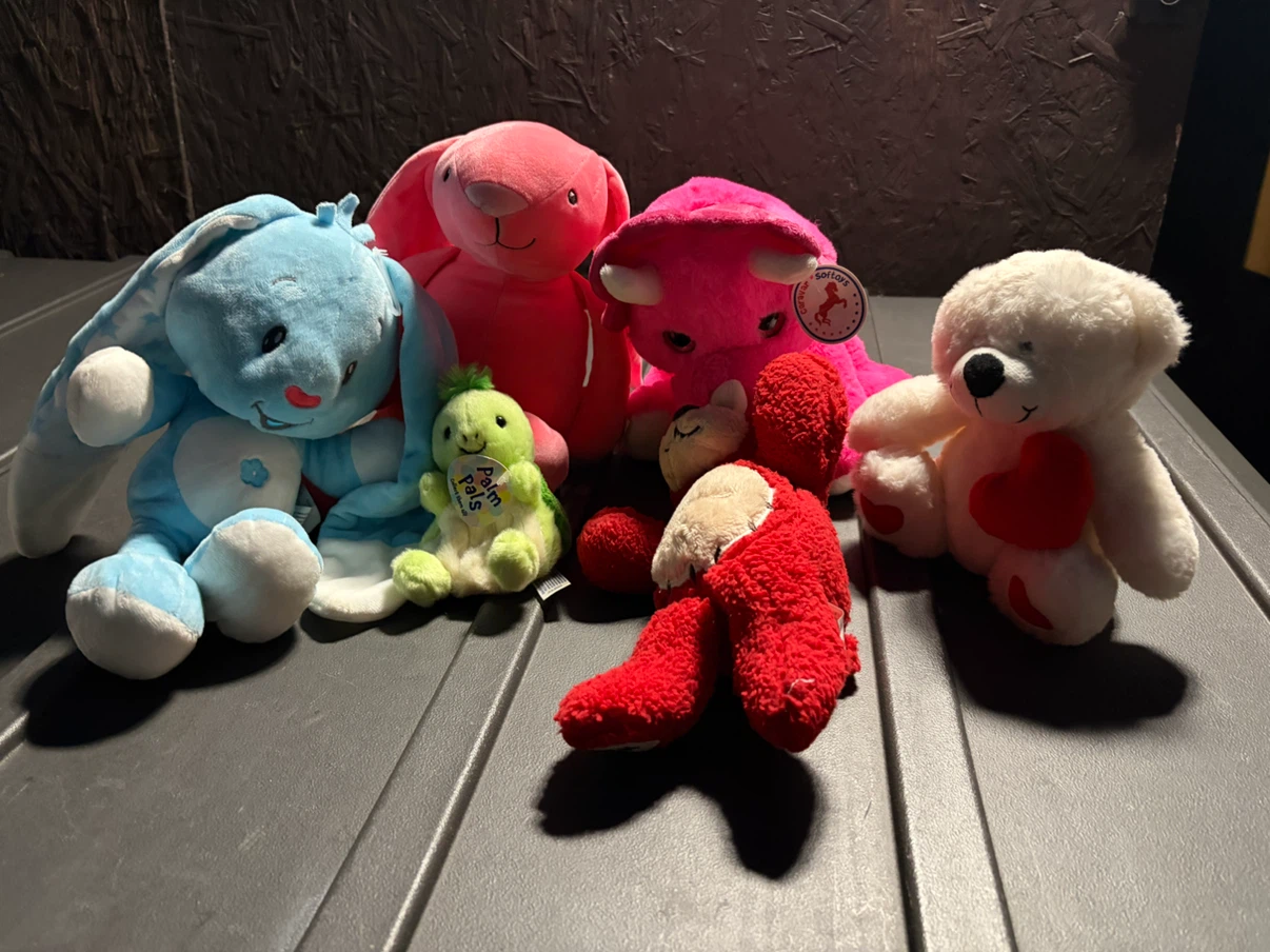 Assorted Plush Toys - photo 3