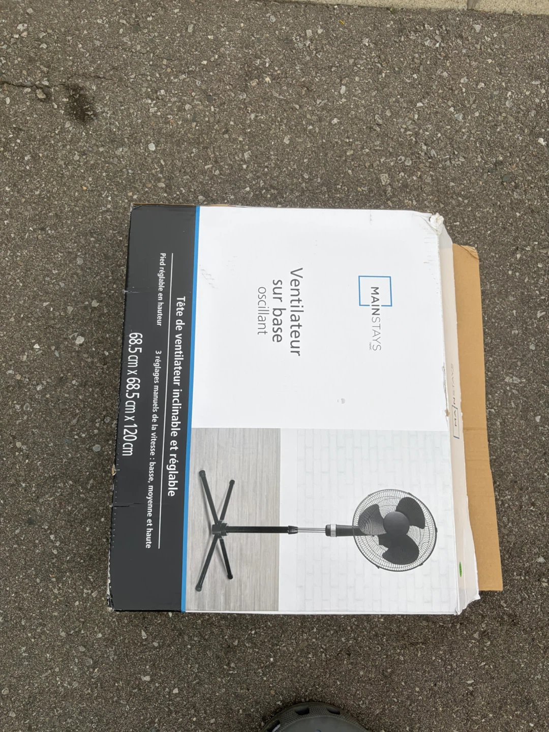 Mainstays Oscillating Pedestal Fan