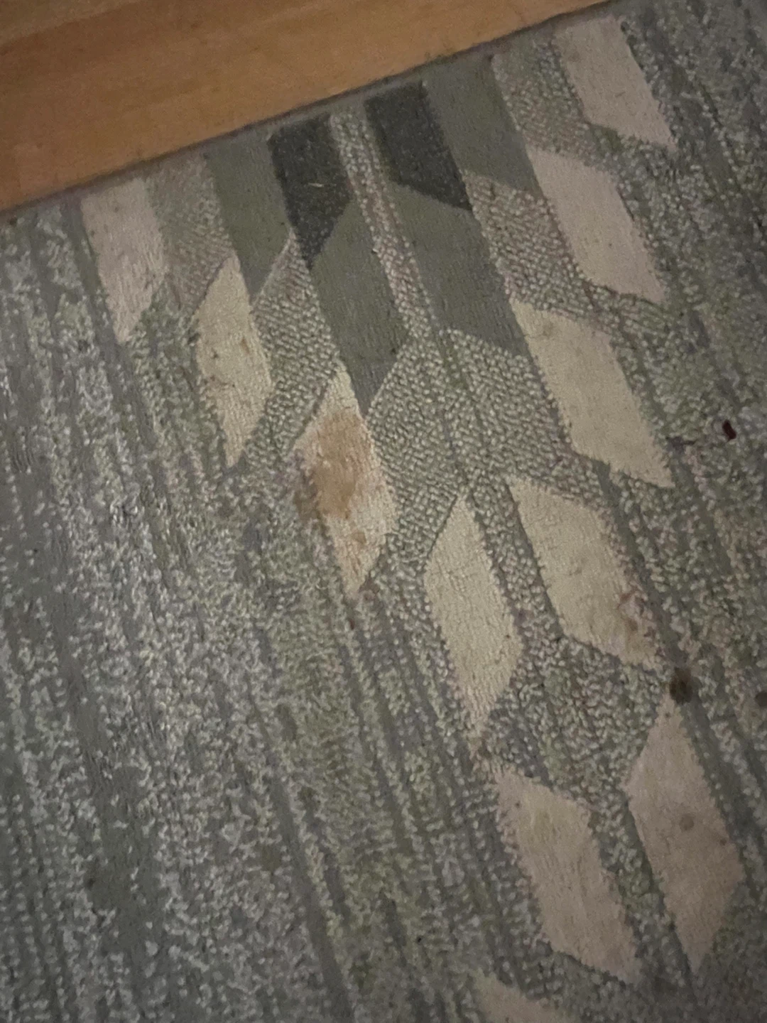 Area Rug - photo 3