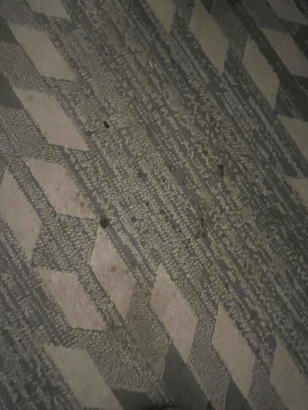 Area Rug - photo 4