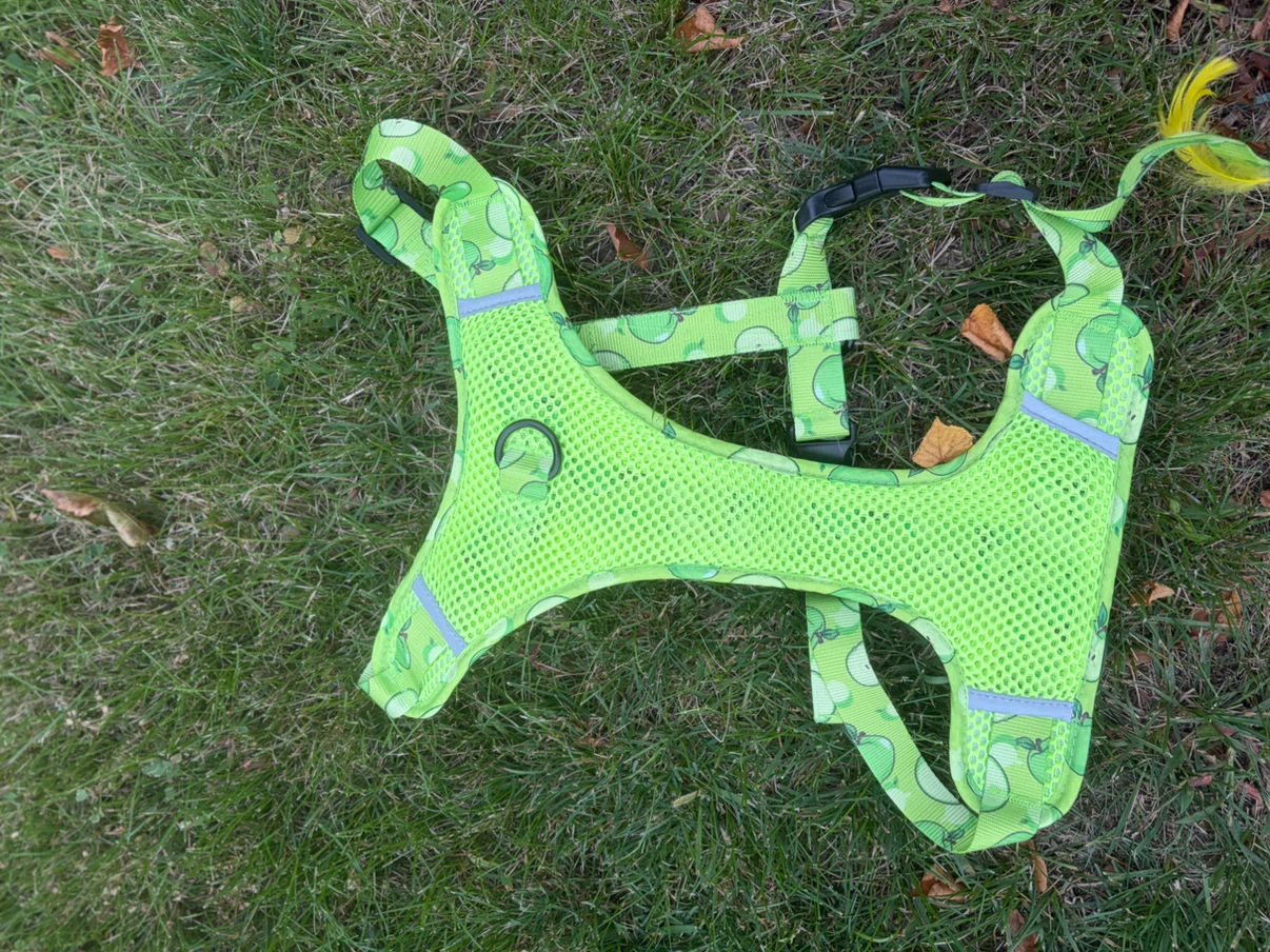Adjustable Dog Harness