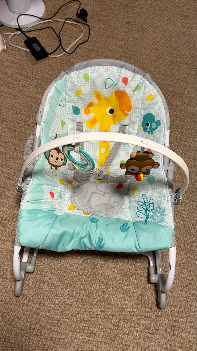 Bright Starts Giraffe Baby Bouncer