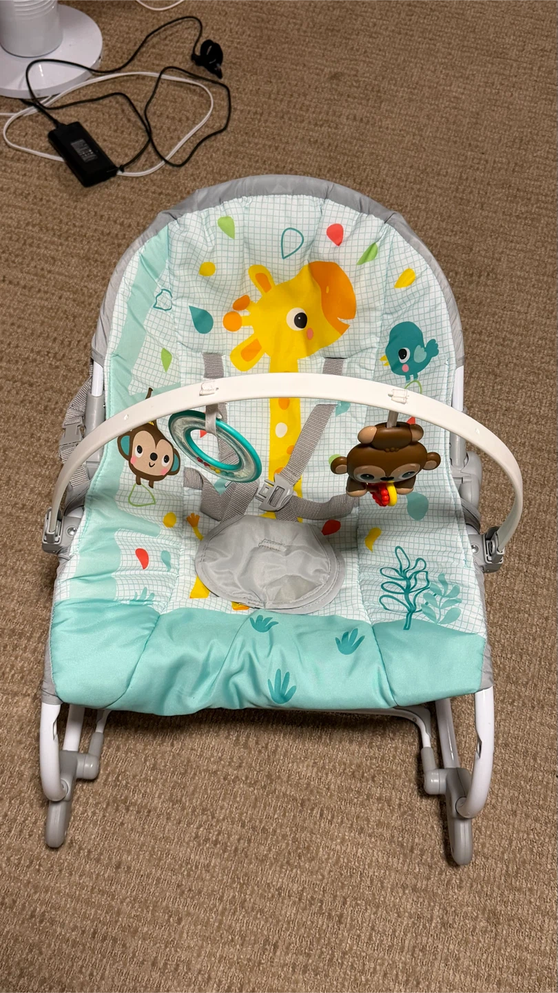Bright Starts Giraffe Baby Bouncer - photo 3