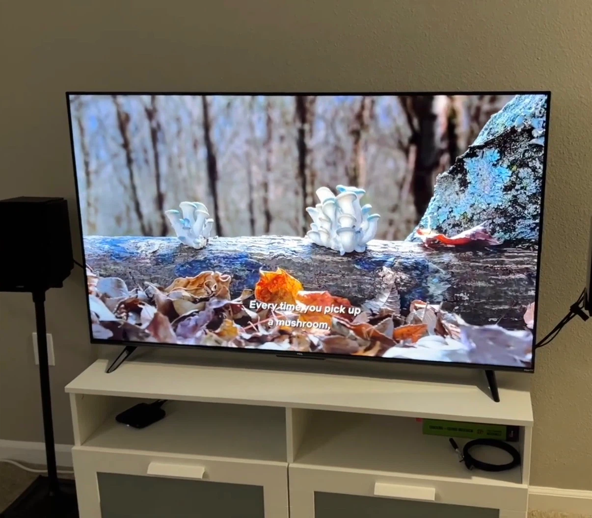 TCL 55" S Class 4K UHD HDR LED Smart TV with Google TV