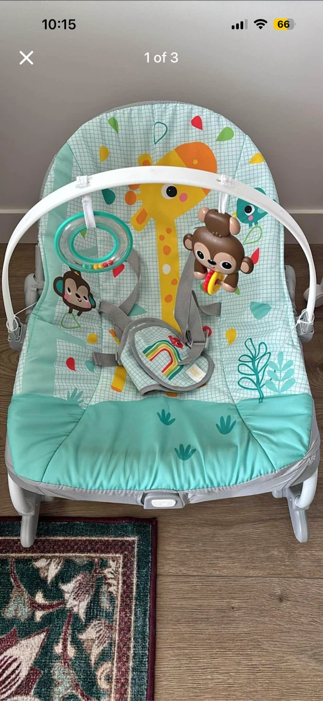 Bright Starts Wild Vibes Infant to Toddler Rocker
