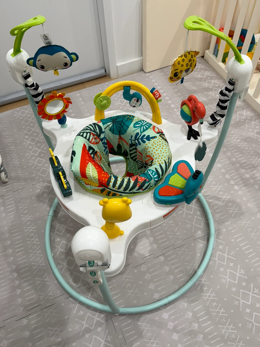 Fisher-Price Jumperoo - photo 2