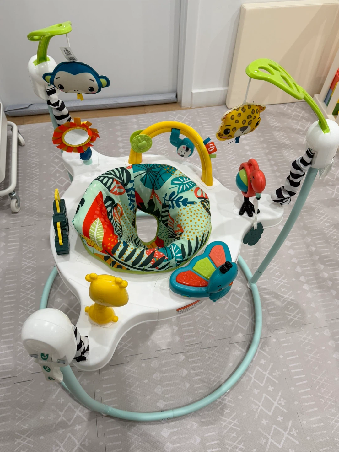 Fisher-Price Jumperoo