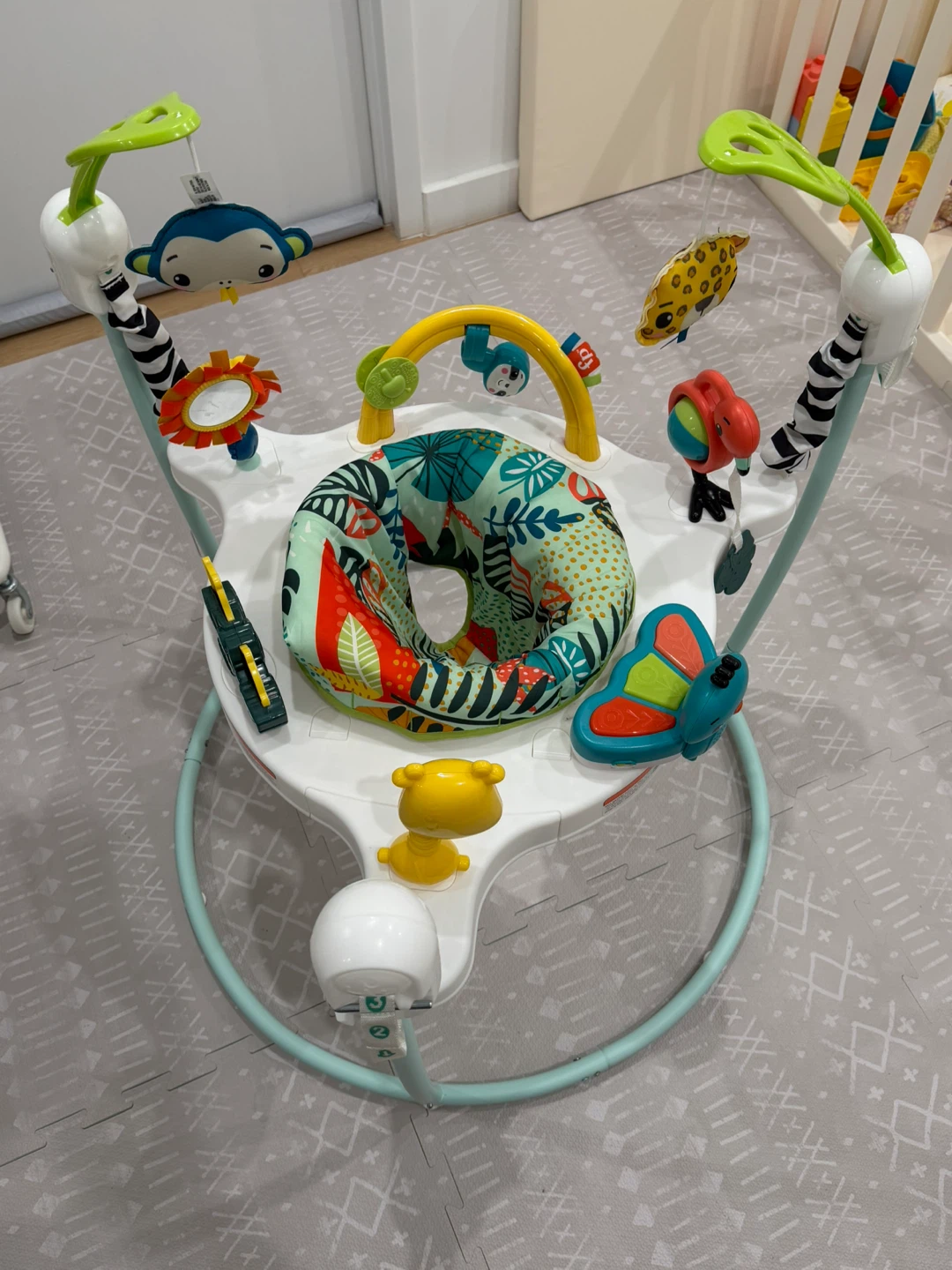 Fisher-Price Jumperoo - photo 3