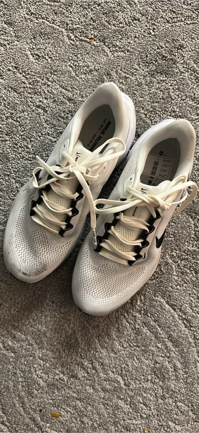 Nike Pegasus Air Zoom Running Shoes