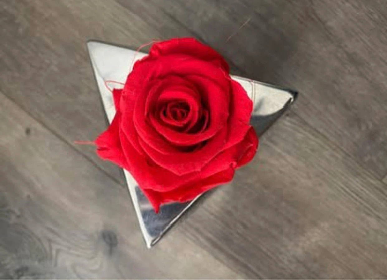 Forever Rose in Modern Silver Geometric Holder - photo 2