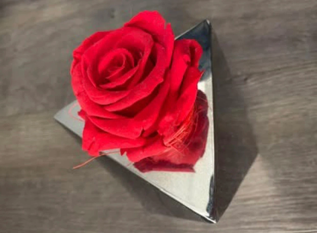 Forever Rose in Modern Silver Geometric Holder - photo 3