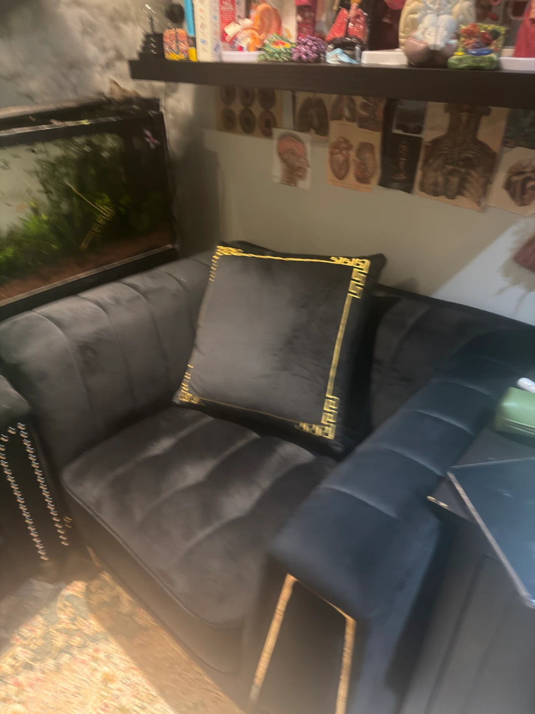 Black Velvet Accent Chair with Gold Medusa Detail - photo 2