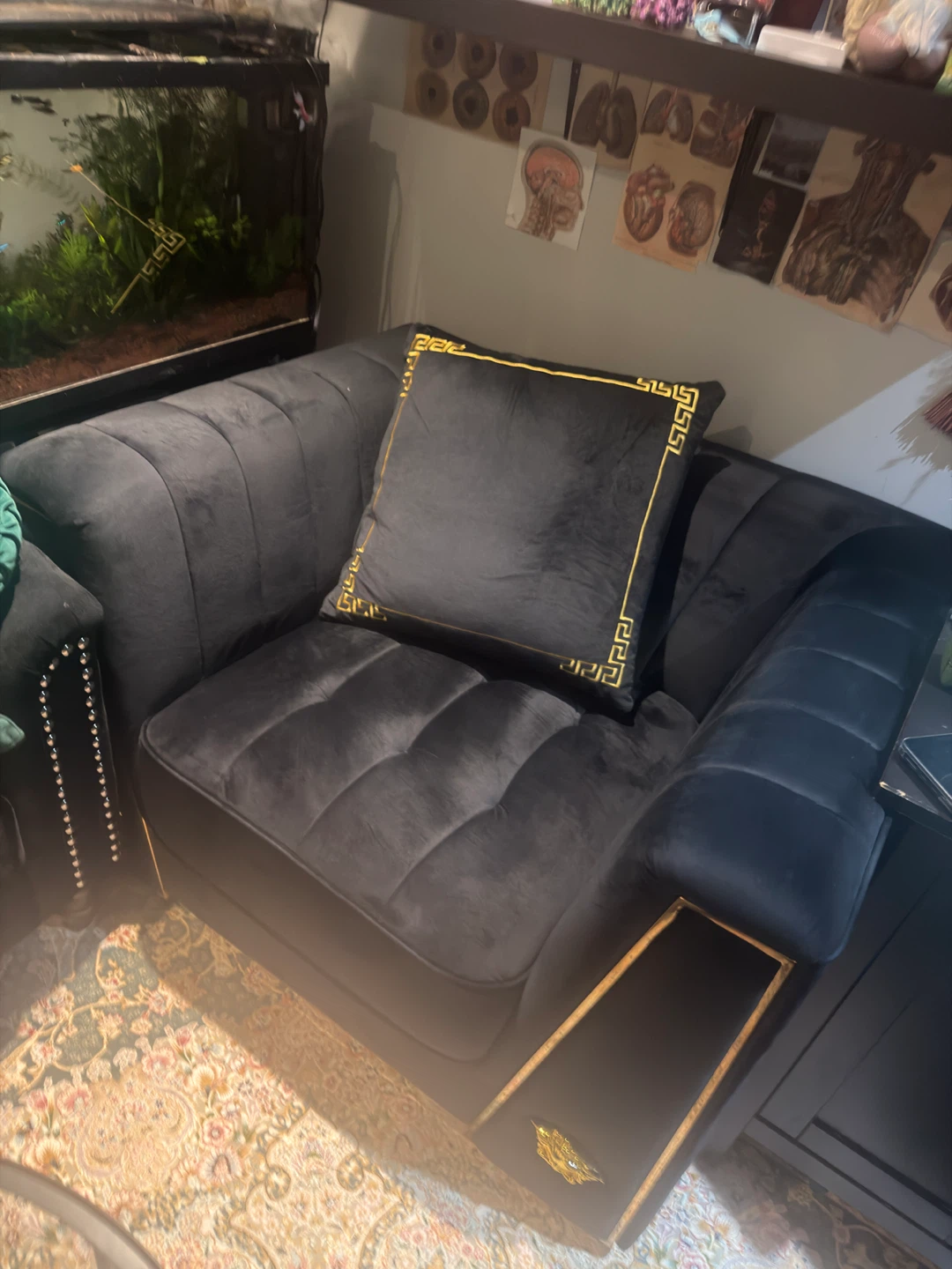 Black Velvet Accent Chair with Gold Medusa Detail - photo 4