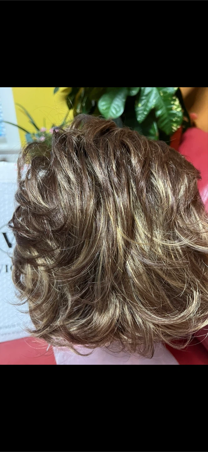 WIGGY Short Curly Wig Brown Blonde Highlights - photo 2
