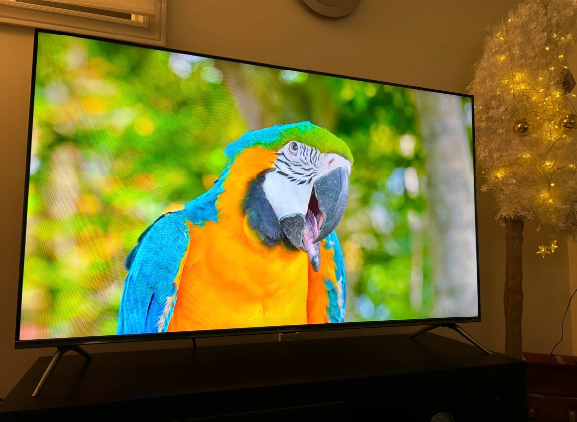 Philips 55" QLED Roku TV 4K UHD