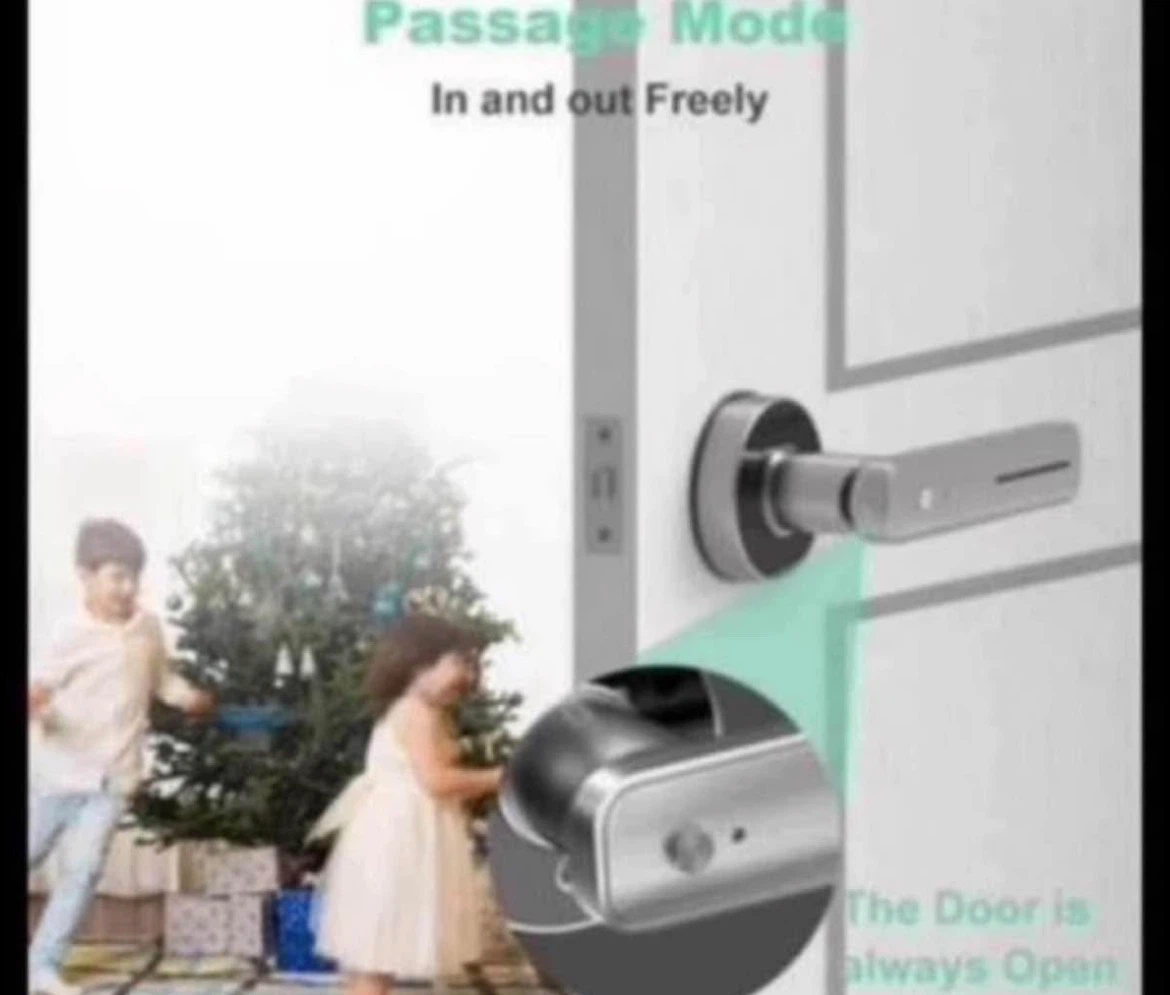 Biometric Door Lever Lock