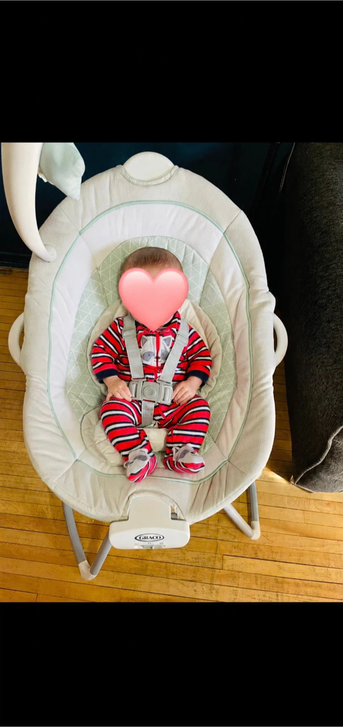 Graco Baby Swing - photo 2