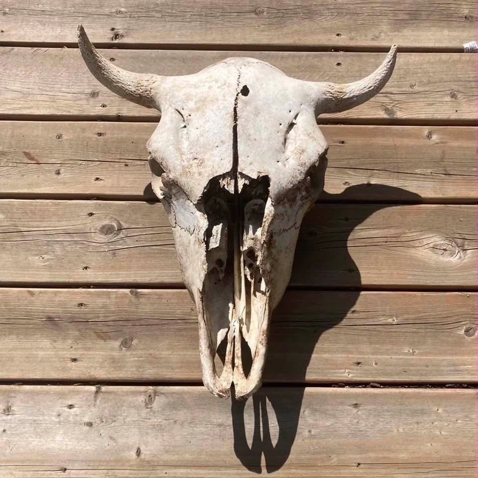 Indoor/Outdoor Décor