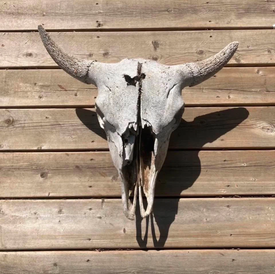 Indoor/Outdoor Décor - photo 2