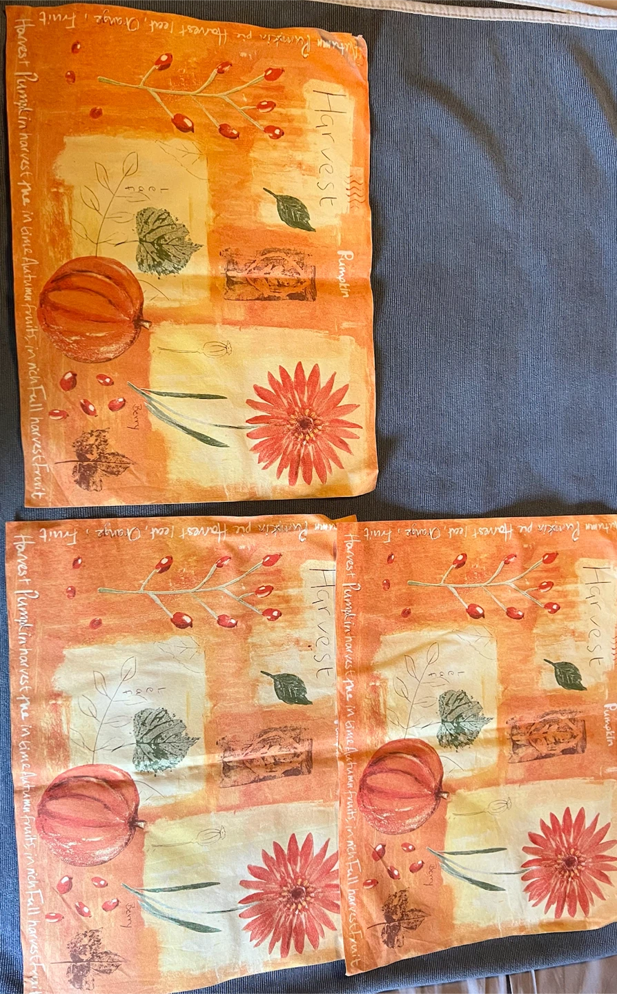 Harvest Themed Tablecloth & Napkins - photo 4