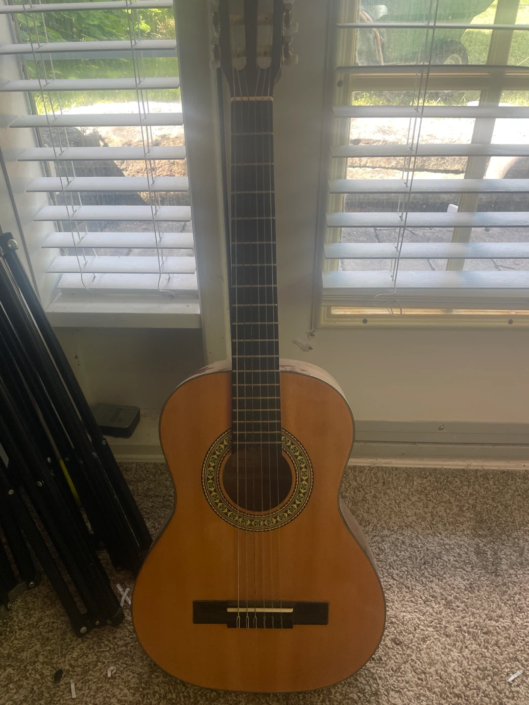 Acoustic Guitar