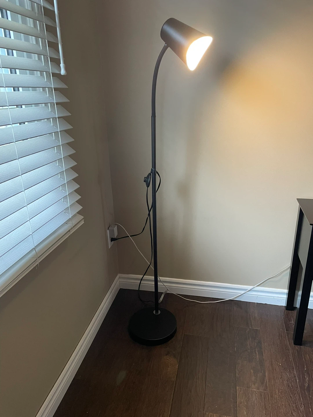 Black Floor Lamp