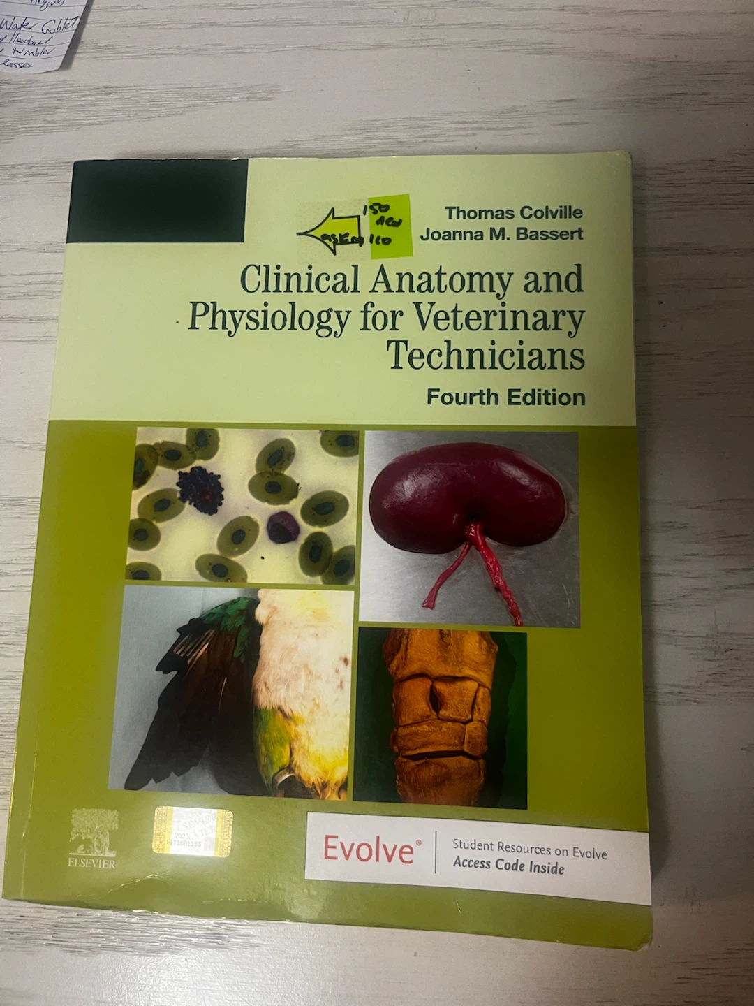 Clinical anatomy & Physiology for Vet Techs 4th ed