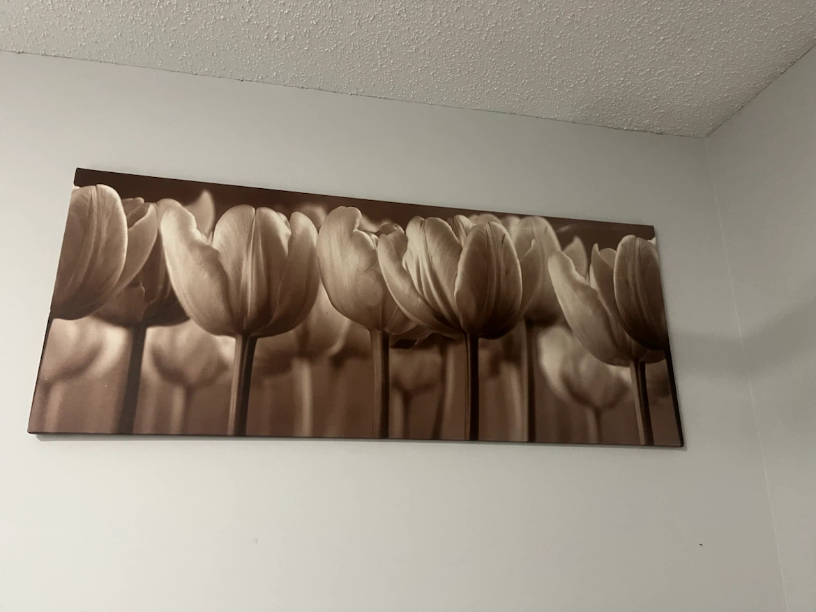Canvas Wall Art Print - Sepia Tulips
