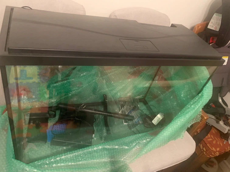 Top fin fish tank