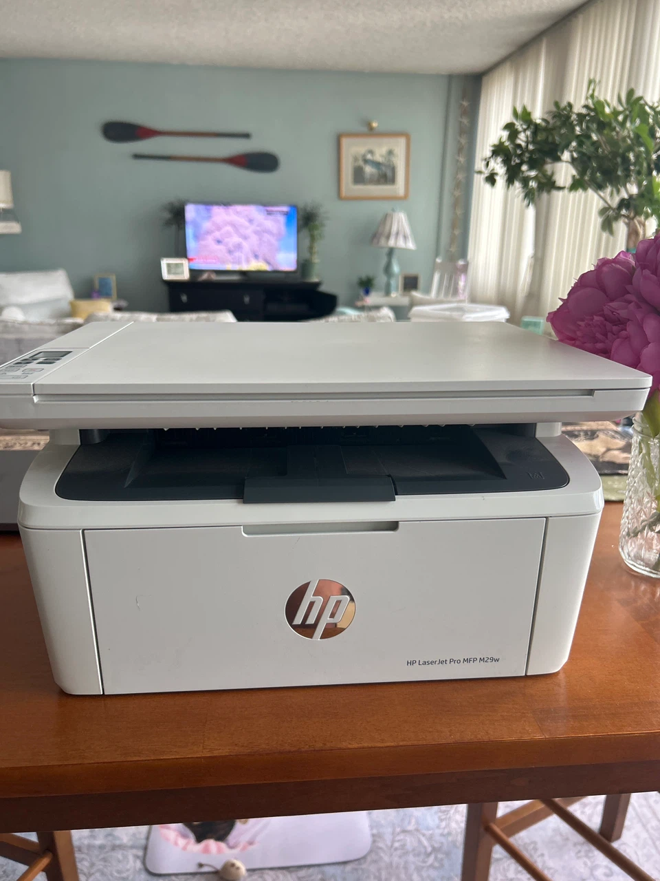 HP wireless LaserJet Pro MFP M29w Printer