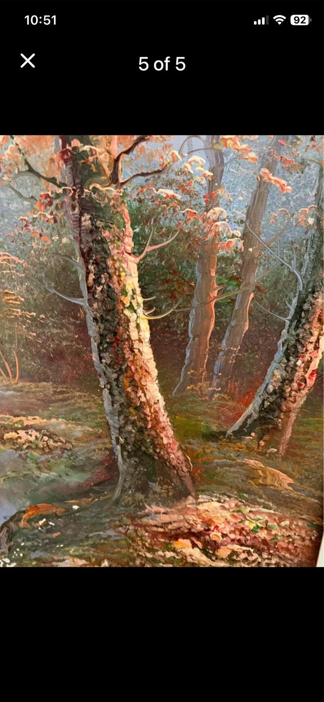 Set of 2 Framed Landscape Oil Paintings - photo 5