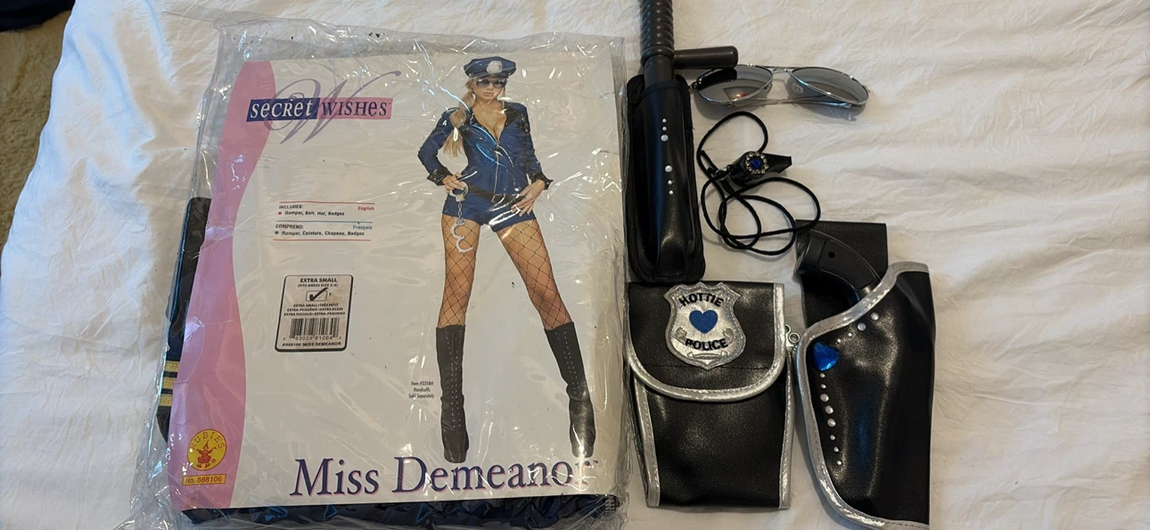 Secret Wishes Miss Demeanor Costume Set