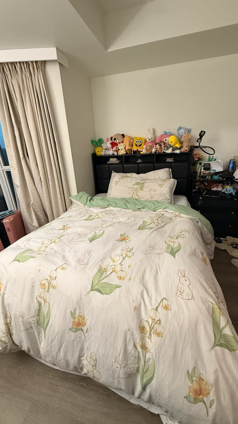 Queen Bed with Storage,Mattress and colorful lights